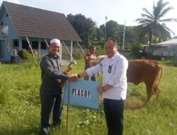Berbagi di Momen Idul Adha, ASDP Salurkan Bantuan Kurban 20 ekor Sapi dan 100 ekor Kambing di Kantor Pusat dan Cabang seluruh Indonesia