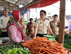 Dalam Memastikan Harga Bahan Pokok Stabil, Bupati Lamsel Kunjungi Pasar di Jati Agung