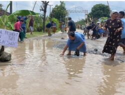 Bupati Lamsel Tanggapi Aksi Warga Yang Menabur Ikan di Jalan Rusak 