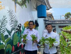 Pakcoy Menghijau, Harapan Bertumbuh — Lapas Kalianda Panen Hasil Pembinaan