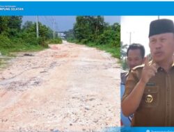 Klarifikasi Pemdes Haduyang: Akses Utama Dusun Puloraya Sudah Layak, Bukan Jalan Tanah Gunung Branti