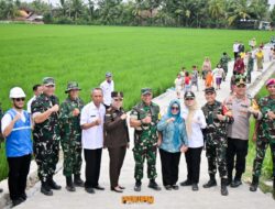 Wasev Panglima TNI Tinjau TMMD ke-127, Bupati Nanda Soroti Manfaat bagi Warga