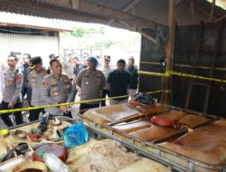 Polda Lampung Berhasil Bongkar Sindikat Penimbunan BBM Ilegal di Pesawaran, Potensi Kerugian Negara Capai Ratusan Miliar