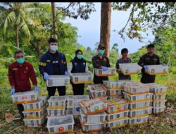 2.775 Burung Hasil Sitaan Penyelundupan di Bakauheni Dilepasliarkan di Gunung Rajabasa